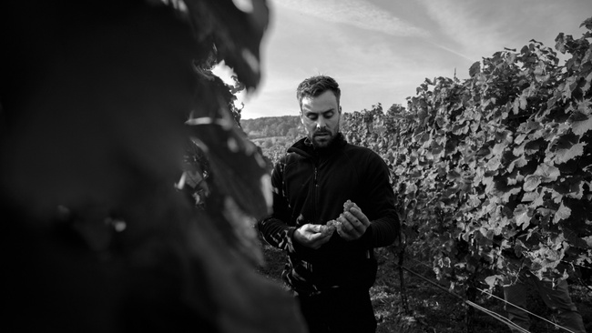 Winzertasting - Steffen Burnikel