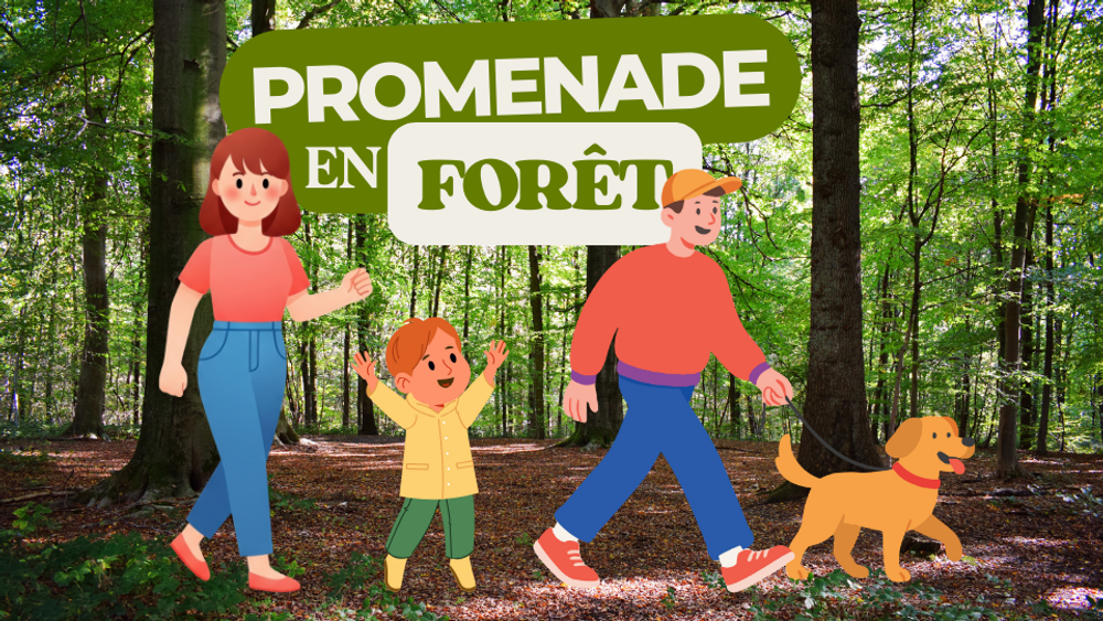 Promenade en forêt