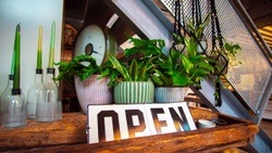 Trend Lab Loft