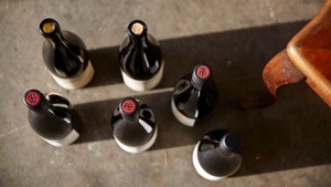 Winzertasting - Stefan Meyer