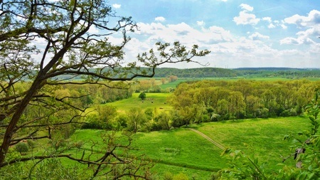 Wanderung: Natur & Geschichte in Goseck erleben