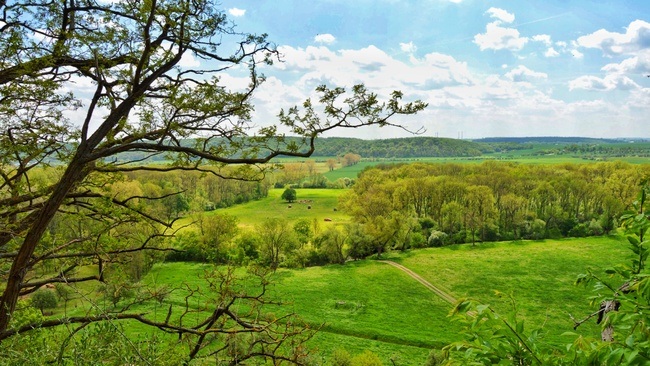 Wanderung: Natur & Geschichte in Goseck erleben