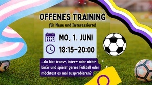 Offenes Fußballtraining für TIN* Personen
