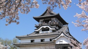 Zwischen Kirschblüten und Neonlicht – unterwegs in Japan