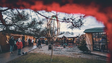 Winterweihnacht am See