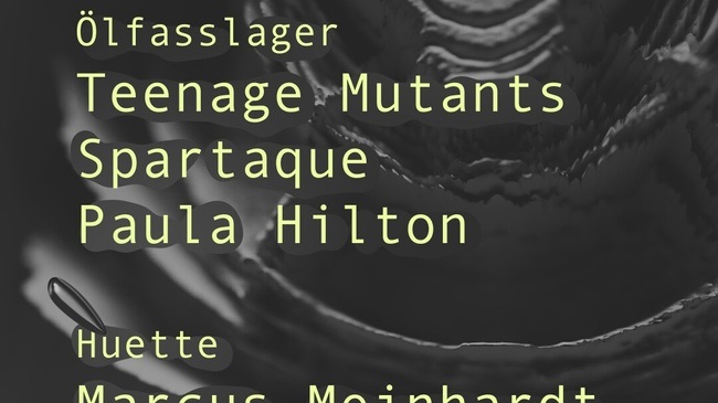 Teenage Mutants, Spartaque, Marcus Meinhardt & more