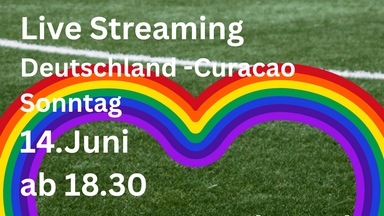 Fussball WM live Streaming