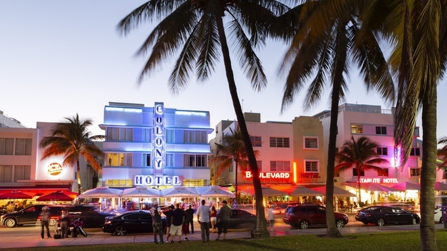 OPEN ART "Florida - Zwischen Natur und Neonlicht"