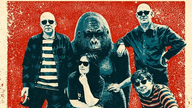 THE NIGHTINGALES (UK) Live @ Schwarzer Hahn (München)