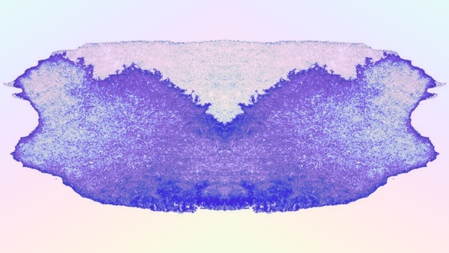 BLAUES STÜNDCHEN w. dj fat lip & Hannahconda