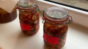 Kimchi Lovers - Fermentieren!
