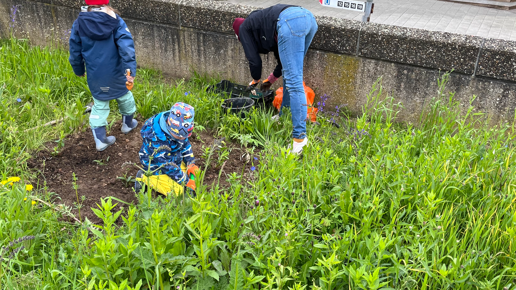 Zwiebel-Planzaktion und Müllsammeln am Ebertplatz