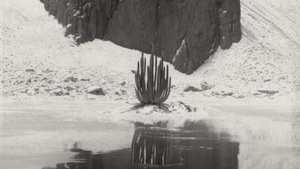 deception island