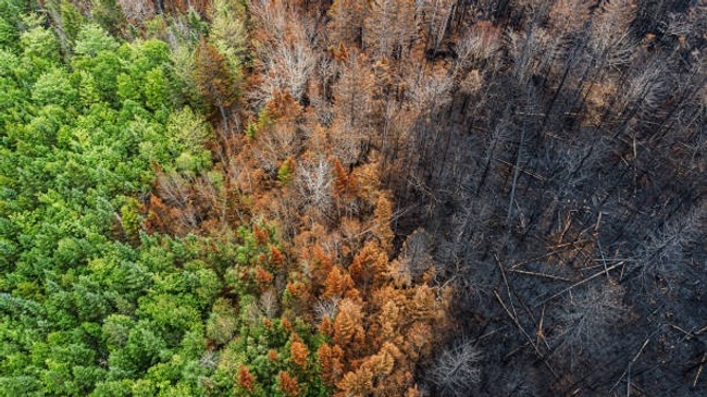 Klimawandel vor der Haustür