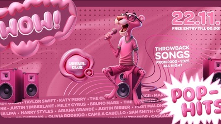 WOW - POP HITS DIE GANZE NACHT 💕