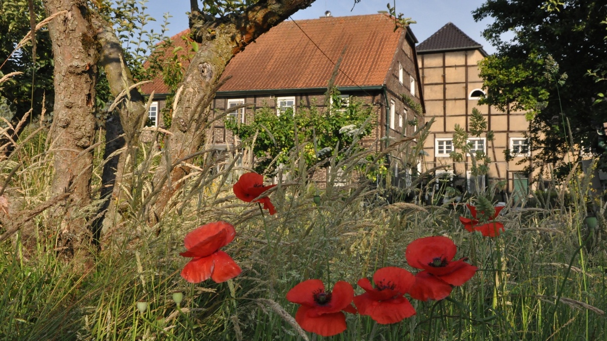 Hof Schulte\u002DTigges