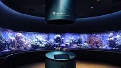 Aquazoo Löbbecke Museum
