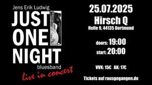 Just One Night Bluesband