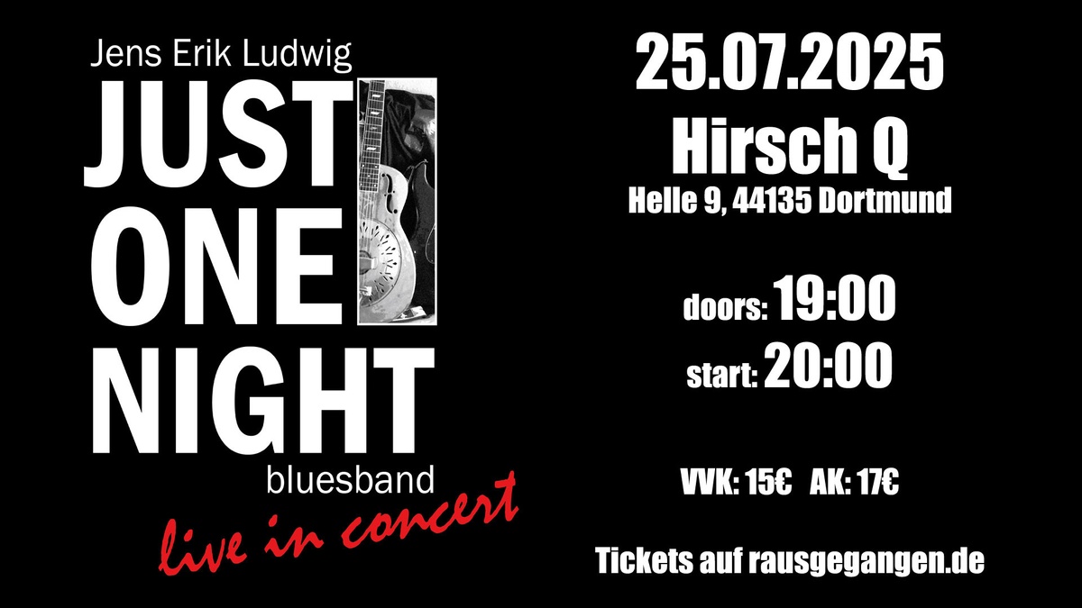 Just One Night Bluesband