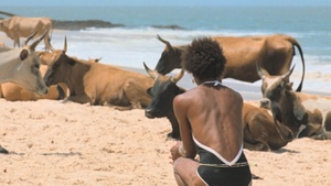 I ONLY REST IN THE STORM