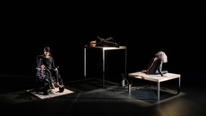 Tanztriennale 2026: Chiara Bersani - "Michel - The Animals I am"