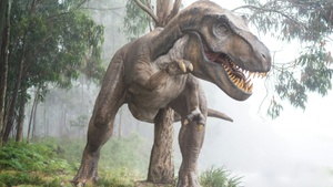 Dinosaurier im Blick
