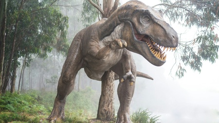 Dinosaurier im Blick