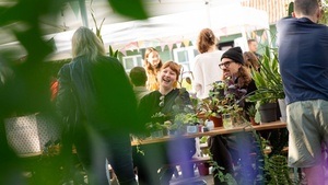 Pflanzen-Flohmarkt