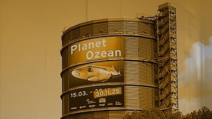 Offene Führungen durch die Ausstellung „Planet Ozean"