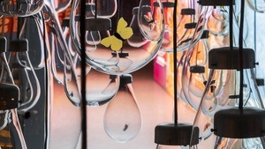 Kurator*innen-Führung: WEtransFORM