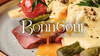 BonnGout