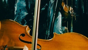 2. Kammerkonzert der Philharmoniker: Ausnahmewerke