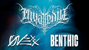 Private Paul - Onexx - Benthic