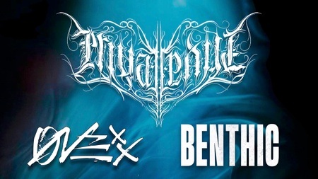 Private Paul - Onexx - Benthic