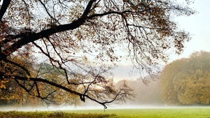 Familienzeit am Samstag "Im Wald der Elfen und Trolle"