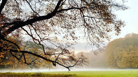 Familienzeit am Samstag "Im Wald der Elfen und Trolle"