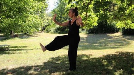Tai Chi - Sport im Park