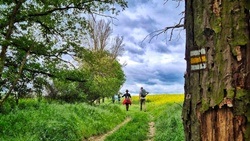 Thomas König | Wanderführer