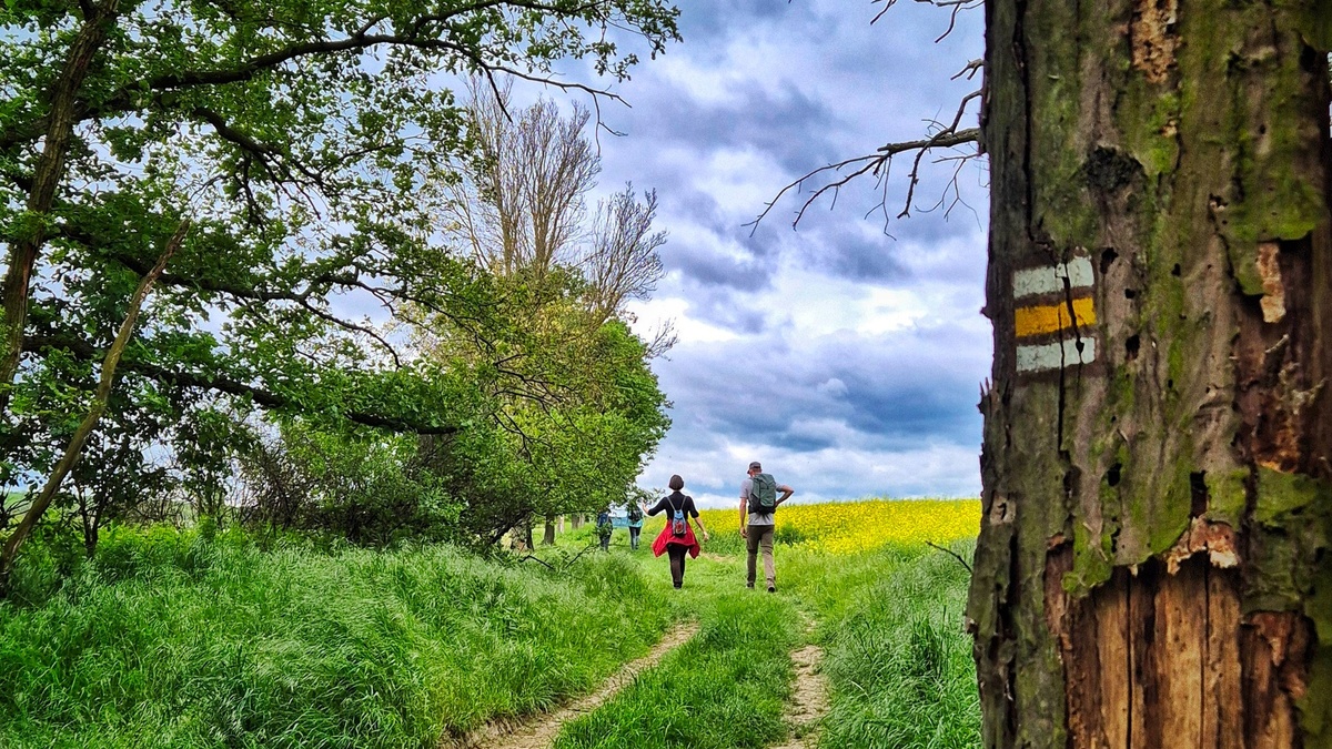Thomas König | Wanderführer