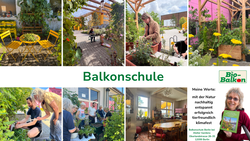 Balkonschule