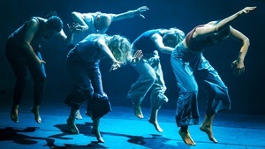 Acid - The Last Word