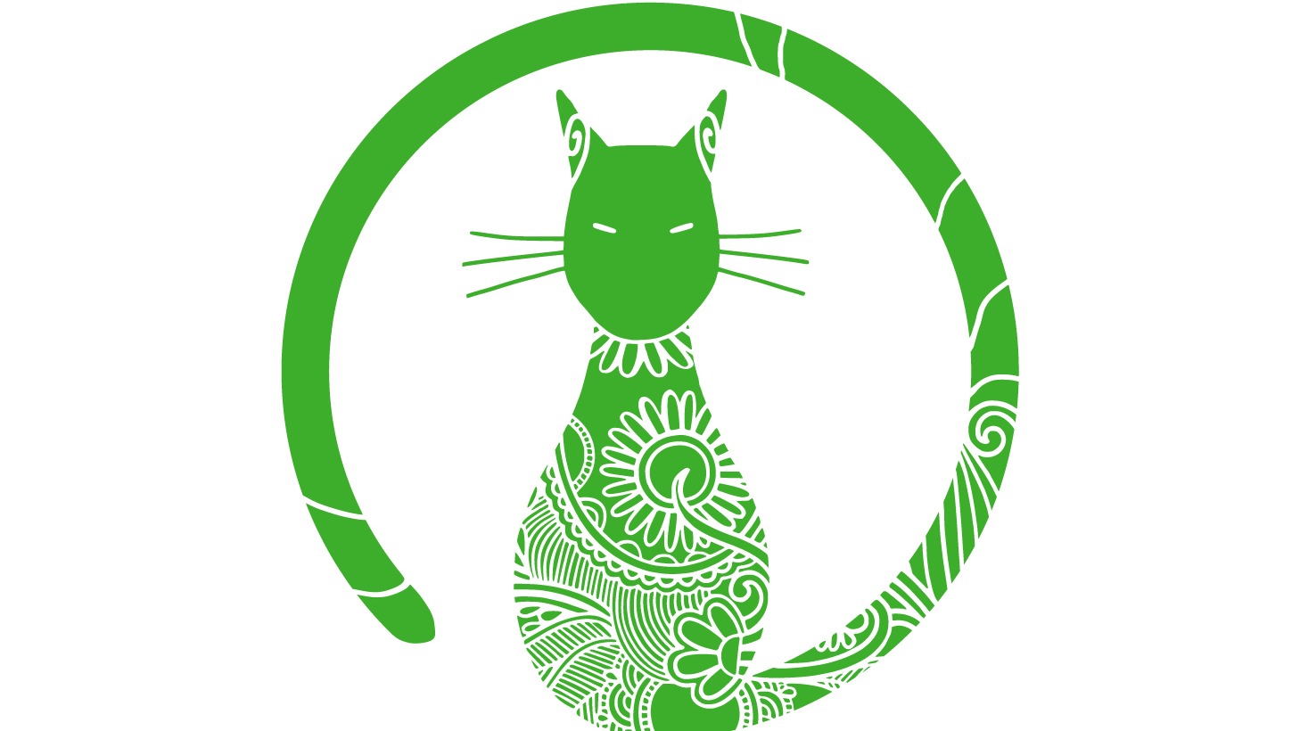 Yoga & Brunch im Katzentempel Hamburg Hafencity