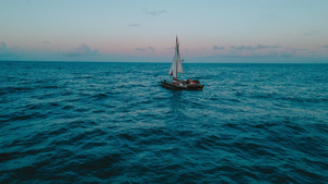 Open Air Kino: SURF FILM NACHT: WOMEN & THE WIND + LENA(OV)