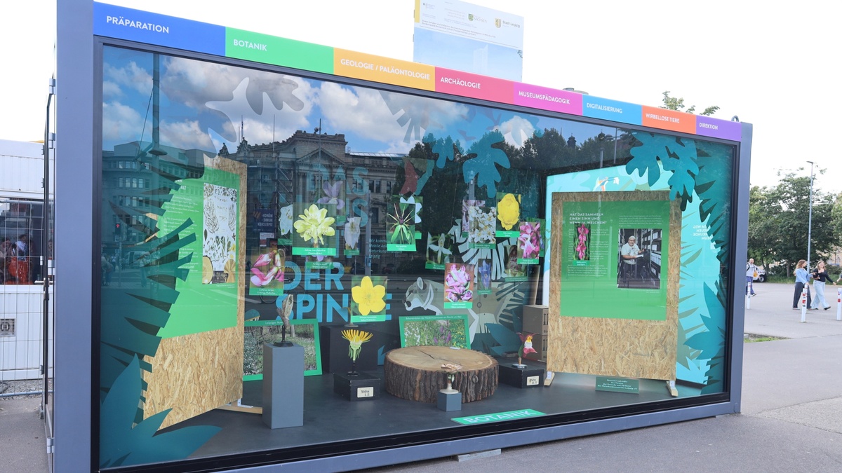 ExpoBox zum Entdecken