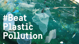 #BeatPlasticPollution – Wege aus dem Plastikdilemma