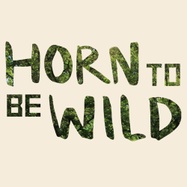 Horn to be Wild