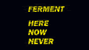 FERMENT – Tape Release Concert – HERE NOW NEVER – hobbykeller HK#7