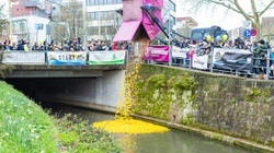 Esslinger Entenrennen