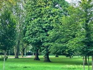 Führung durch den Kölner Stadtgarten