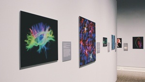 Heiner Meyer - GREAT SELECTION